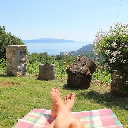 Sea View Apartment with Garden near Opatija Veprinac Buitenkant foto