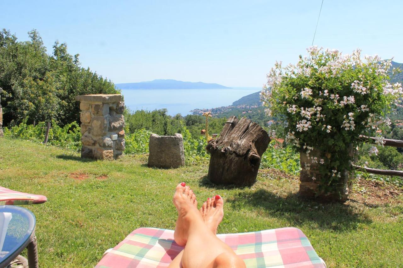 Sea View Apartment with Garden near Opatija Veprinac Buitenkant foto